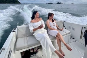 Excursion en hors-bord « Frissons et détente dans les îles du sud de Singapour »