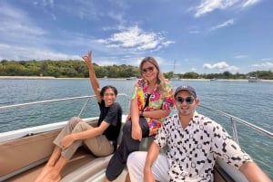 Excursion en hors-bord « Frissons et détente dans les îles du sud de Singapour »