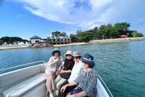 Excursion en hors-bord « Frissons et détente dans les îles du sud de Singapour »
