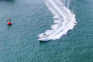 Excursion en hors-bord « Frissons et détente dans les îles du sud de Singapour »