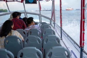 Singapore: Albatross Speedboat Adventures-billett