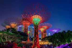 Singapore Starry Night: Cruise, Garden Rhapsody & Spectra