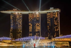 Singapore Starry Night: Cruise, Garden Rhapsody & Spectra