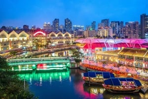 Singapore Night Wonders : Cruise, Garden Rhapsody & Spectra