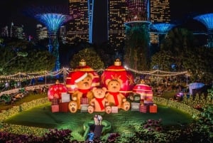 Singapore Night Wonders : Cruise, Garden Rhapsody & Spectra