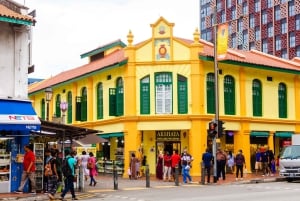 Singapore Stories Food Tour with 12+ Tastings