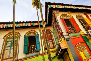 Singapore: Street Food och etniska kvarter Kick Scooter Tour