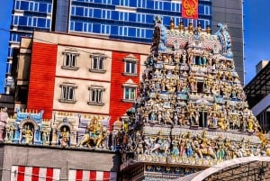 Singapore: Street Food och etniska kvarter Kick Scooter Tour