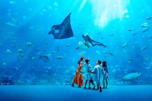 Singapur: Sunset Cable Car, Wings Of Time auf Sentosa