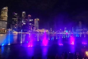 Singapur: Paseo en Crucero por el Río de la Puesta de Sol y Espectáculos de Luces