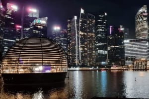 Singapur: Paseo en Crucero por el Río de la Puesta de Sol y Espectáculos de Luces