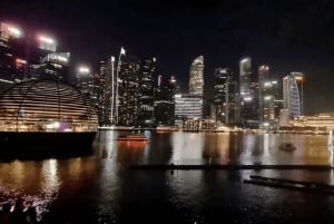 Singapur: Paseo en Crucero por el Río de la Puesta de Sol y Espectáculos de Luces
