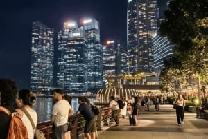 Singapur: Paseo en Crucero por el Río de la Puesta de Sol y Espectáculos de Luces
