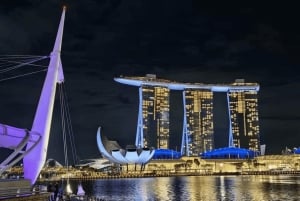Singapur: Paseo en Crucero por el Río de la Puesta de Sol y Espectáculos de Luces