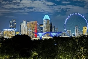 Singapur: Paseo en Crucero por el Río de la Puesta de Sol y Espectáculos de Luces
