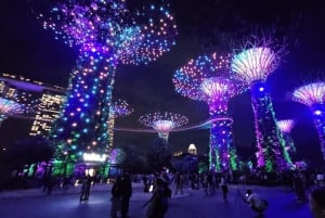 Singapur: Paseo en Crucero por el Río de la Puesta de Sol y Espectáculos de Luces
