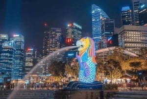 Singapur: Paseo en Crucero por el Río de la Puesta de Sol y Espectáculos de Luces