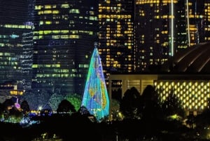Singapur: Paseo en Crucero por el Río de la Puesta de Sol y Espectáculos de Luces