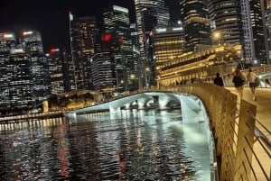 Singapur: Paseo en Crucero por el Río de la Puesta de Sol y Espectáculos de Luces