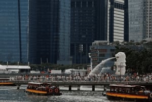 Singapur: Paseo en Crucero por el Río de la Puesta de Sol y Espectáculos de Luces