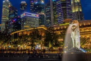 Singapur: Paseo en Crucero por el Río de la Puesta de Sol y Espectáculos de Luces
