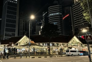 Singapur: Paseo en Crucero por el Río de la Puesta de Sol y Espectáculos de Luces