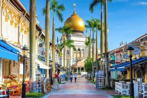 シンガポール：寺院、チャイナタウン、リトルインディアのプライベートツアーをご覧ください