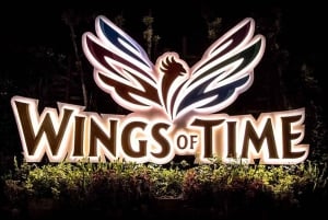 Singapore: Wings of Time Vuurwerk Symfonie Toegangsbewijs
