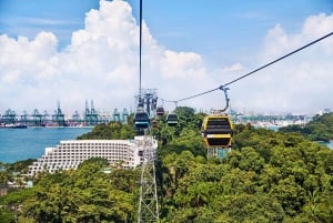 Singapore: Pasto Toast Box + Pass Sky per la funivia di Sentosa