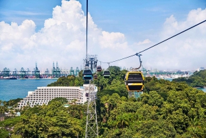Singapur: Comida en caja de tostadas + Combo Sentosa Cable Car Sky Pass