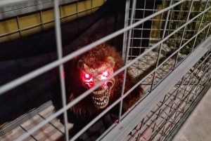 Сингапур: входной билет в квест-комнату-ловушку