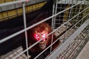 Сингапур: входной билет в квест-комнату-ловушку