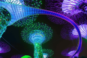 Singapore: Twilight Tour with River Cruise and Light Shows