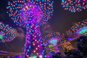 Singapore: Twilight Tour with River Cruise and Light Shows