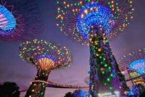 Singapore: Twilight Tour with River Cruise and Light Shows