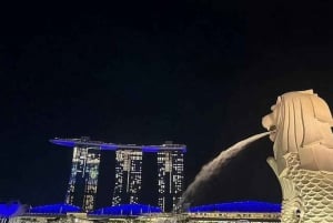 Singapore Twilights with River Cruise & Light Shows