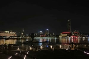 Singapore Twilights with River Cruise & Light Shows