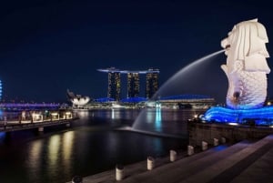 Singapore Twilights with River Cruise & Light Shows