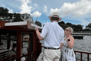 Singapore Twilights met riviercruise & lichtshows