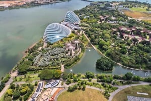 Singapour dévoilée : 6 heures d'aventure gastronomique et urbaine avec un guide local