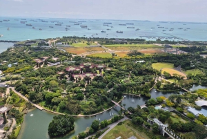 Singapour dévoilée : 6 heures d'aventure gastronomique et urbaine avec un guide local