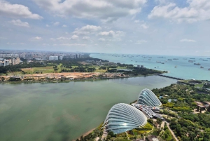 Singapour dévoilée : 6 heures d'aventure gastronomique et urbaine avec un guide local