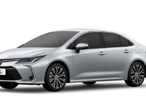 Singapore: Inträde till Universal Studios med privat transfer