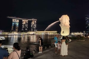 Best of Singapore - Full Day Private Tour