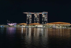 Singapour : Visite de la ville à pied avec un guide touristique local