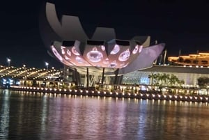 Singapour : Visite de la ville à pied avec un guide touristique local