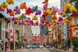 3hrs Singapore Walking Tour: Chinatown-Kampong Glam