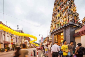 3hrs Singapore Walking Tour: Chinatown-Kampong Glam