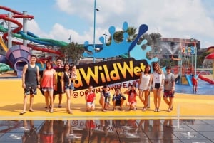 Singapore: Wild Wild Wet Waterpark Admission Ticket