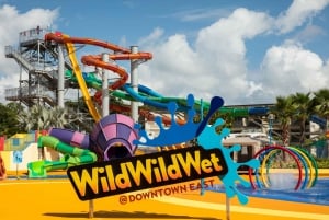 Singapore: Wild Wild Wet Waterpark Admission Ticket